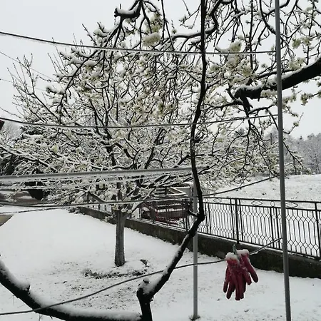 Appartement Ana - Biker Friendly *