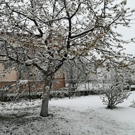 Ana - Biker Friendly Daire Livno